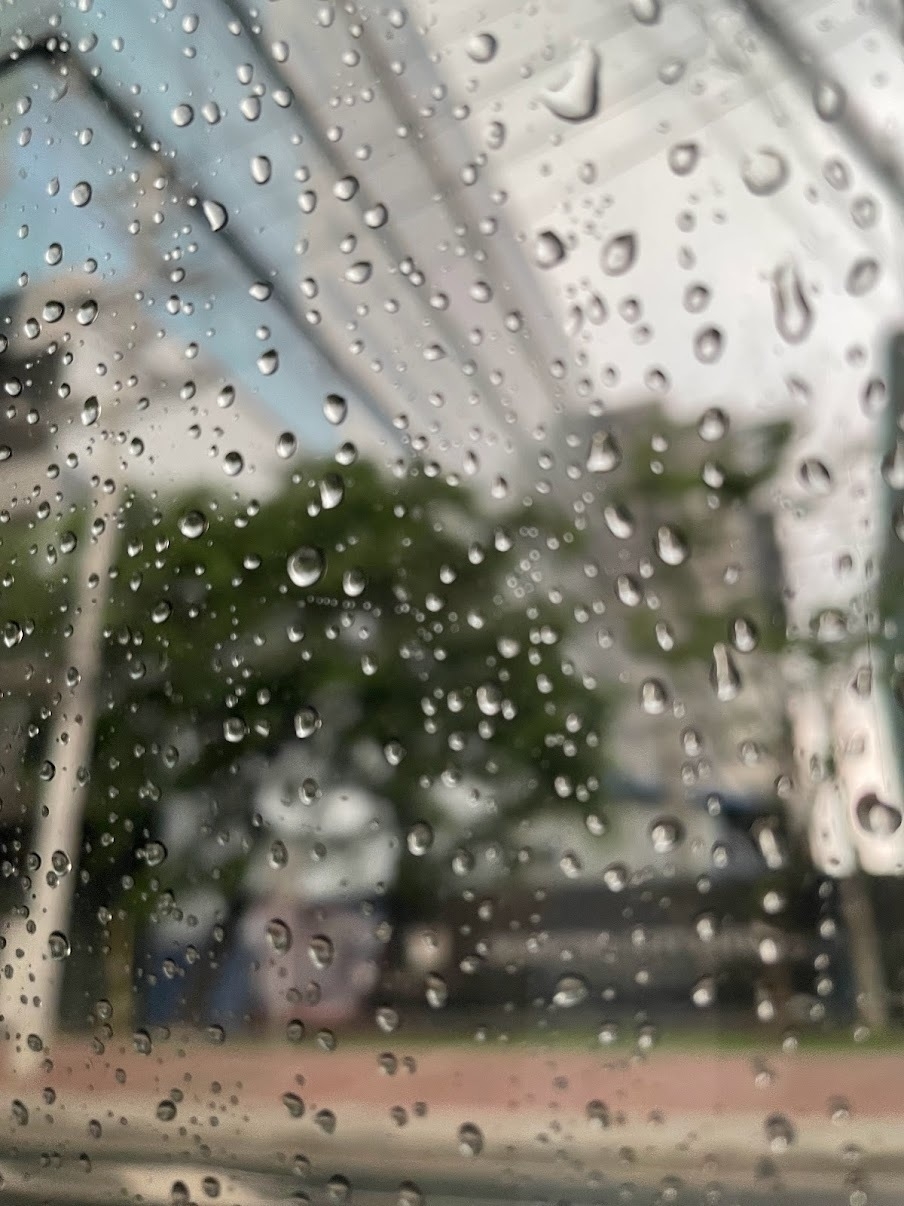 Water droplets on car window as viewed from inside