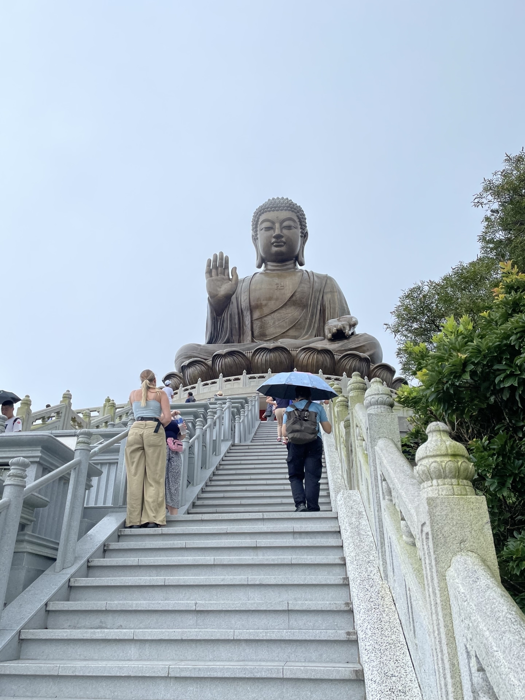 Climbing 256 steps to get close to the Tian Tan Buddha