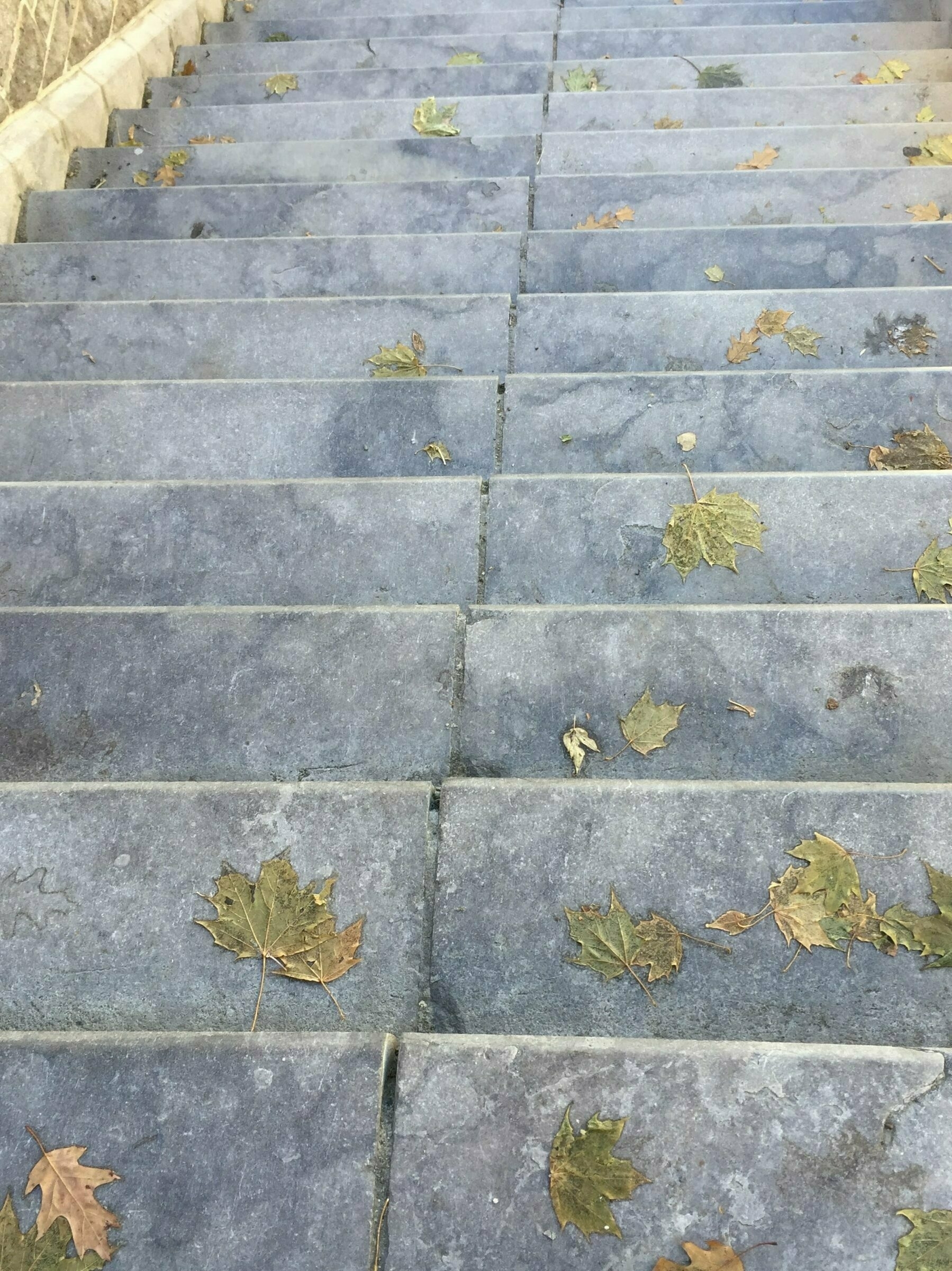 Going down these slippery steps with a few fallen maple leaves plastered on them here and there.